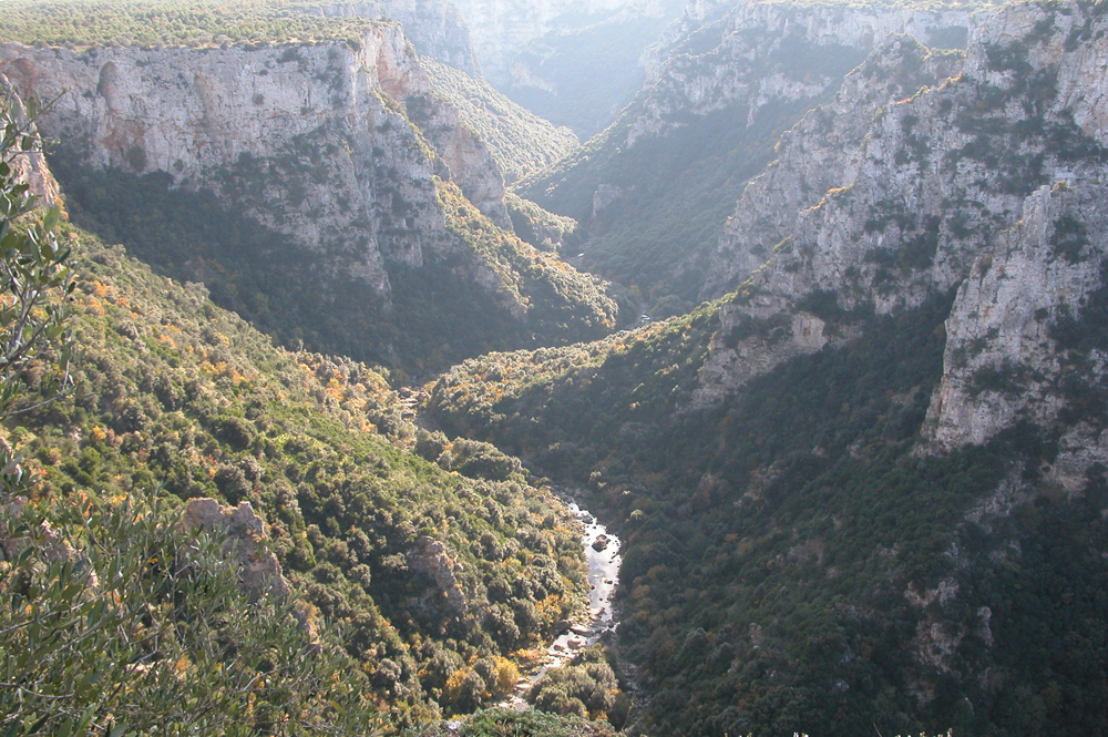 Oasi Lipu Gravina di Laterza © Oasi Lipu Gravina di Laterza/Vittorio Giacoia