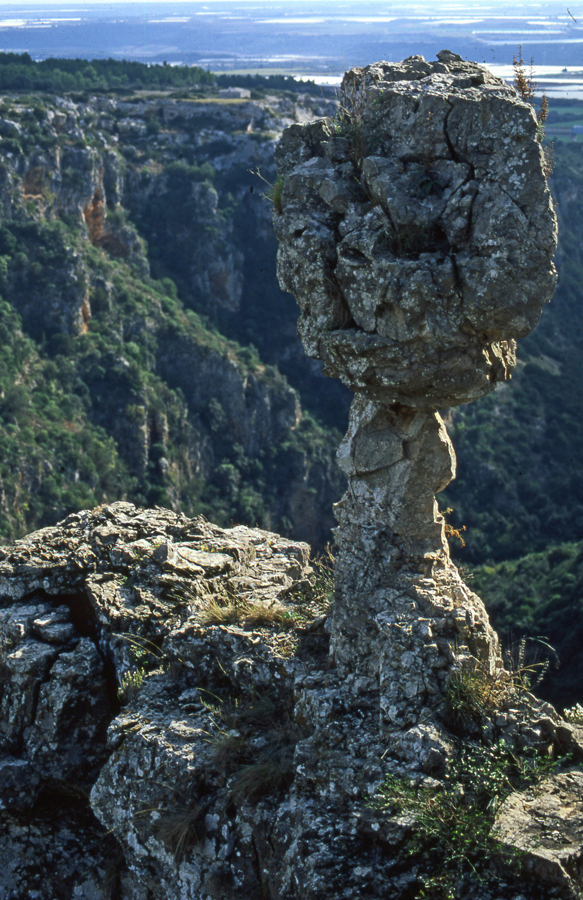 Oasi Lipu Gravina di Laterza © Oasi Lipu Gravina di Laterza/Vittorio Giacoia