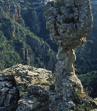 Oasi Lipu Gravina di Laterza © Oasi Lipu Gravina di Laterza/Vittorio Giacoia