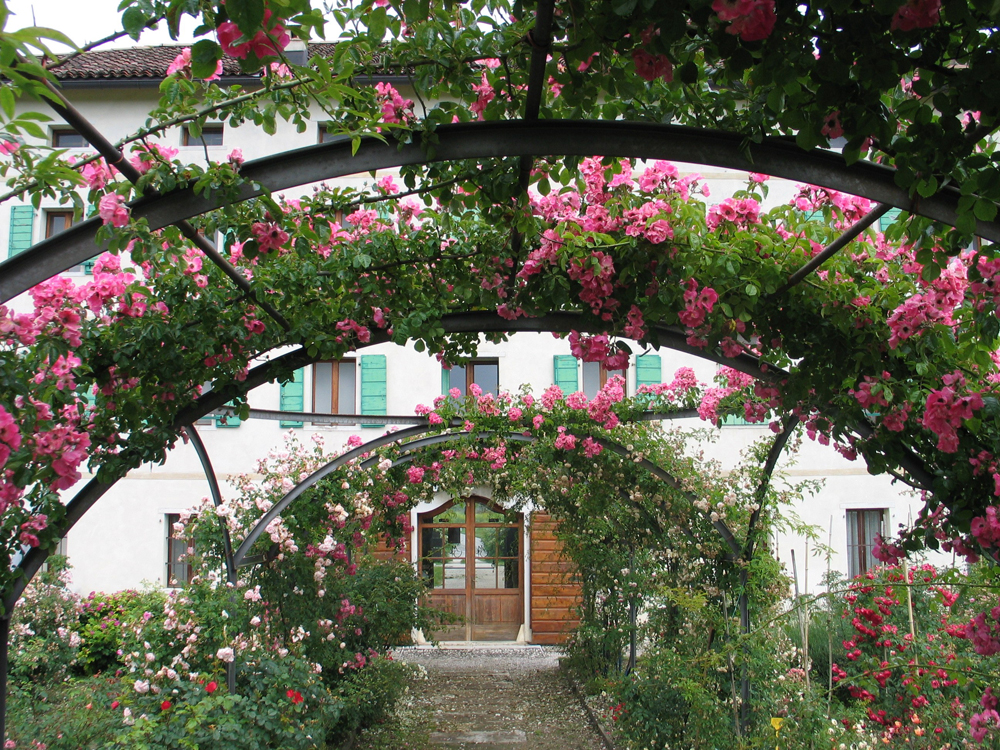 Museo Etnografico - Il roseto ©Daniela Perco, Archivio MES