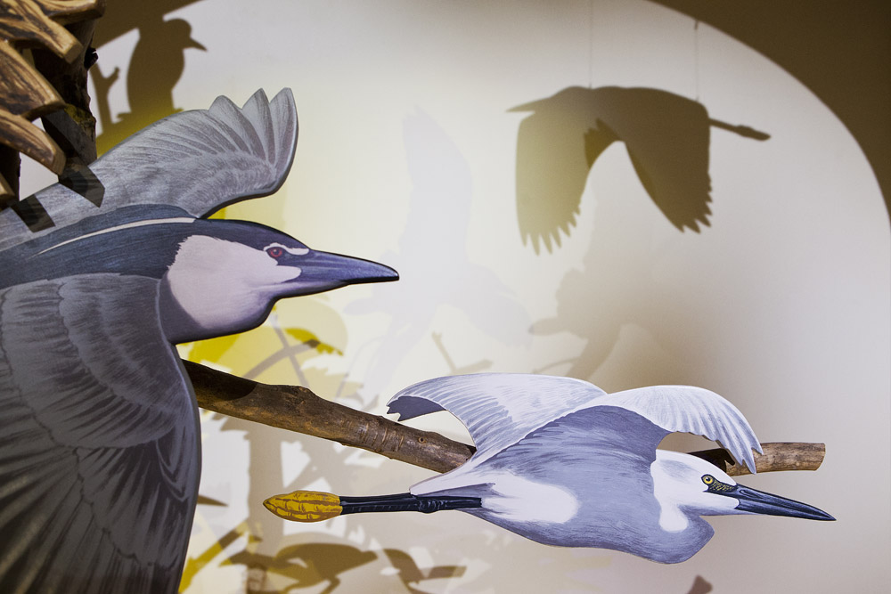 Parco Fluviale Po Stampi di volatili in legno © F. Cicogna