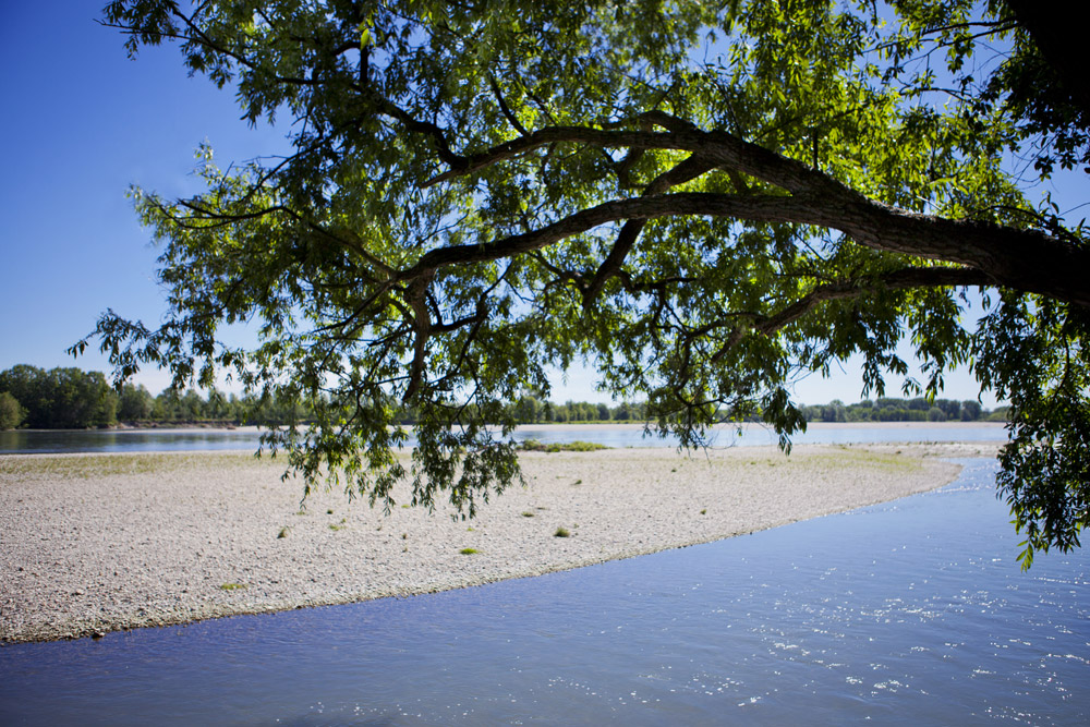 Parco Fluviale Po Ghiareto © F. Cicogna