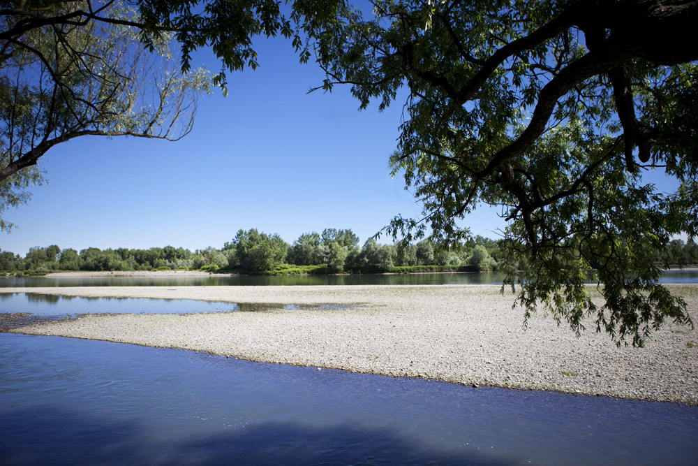 Parco Fluviale Po Veduta fiume © F. Cicogna