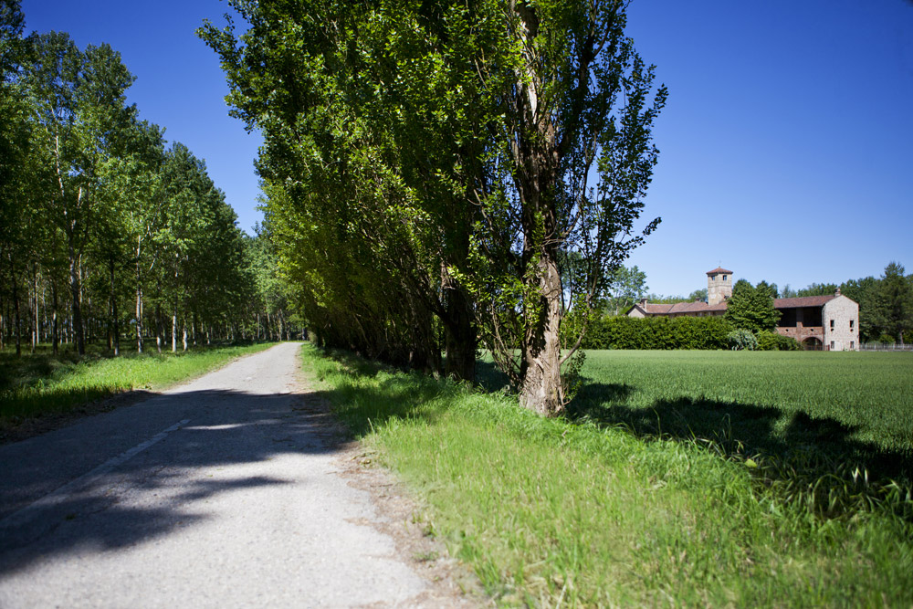 Parco Fluviale Po Cascina presso Torre Isola © F. Cicogna