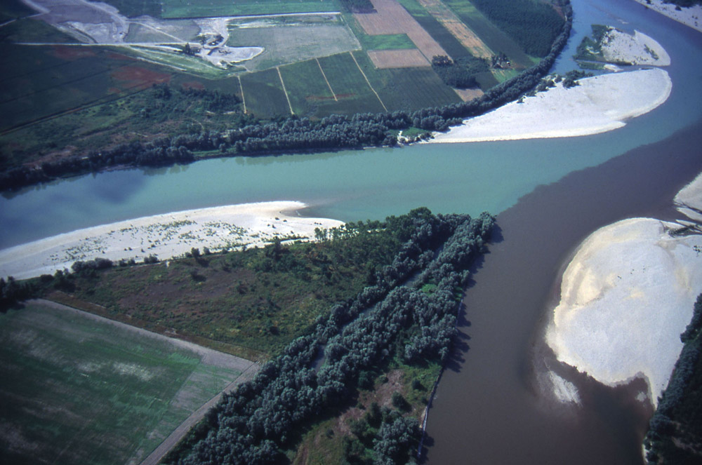 Parco Fluviale Po Confluenza Po-Sesia presso Frassineto Po © Archivio P.F.Po Vc-A