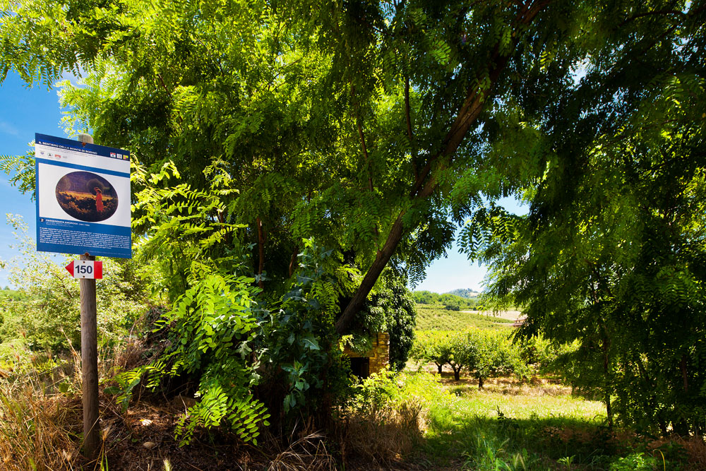 Volpedo Riproduzione del dipinto «Passeggiata amorosa» lungo il sentiero campestre © Fiorenza Cicogna
