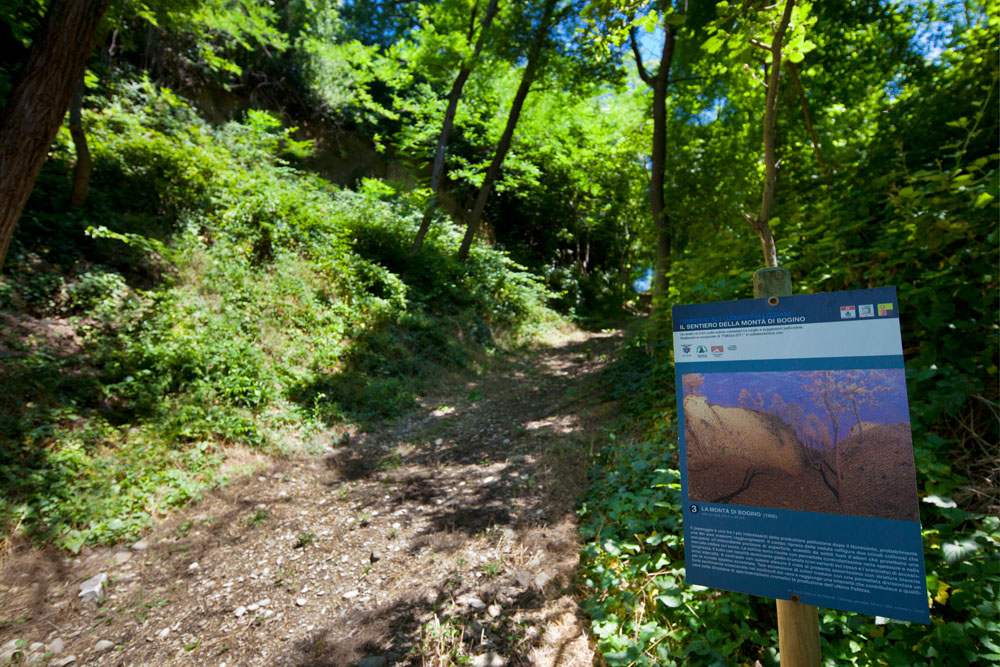 Volpedo Riproduzione del dipinto «La Montà di Bogino» sull'omonimo sentiero campestre © Fiorenza Cicogna