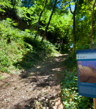 Volpedo Riproduzione del dipinto «La Montà di Bogino» sull'omonimo sentiero campestre © Fiorenza Cicogna