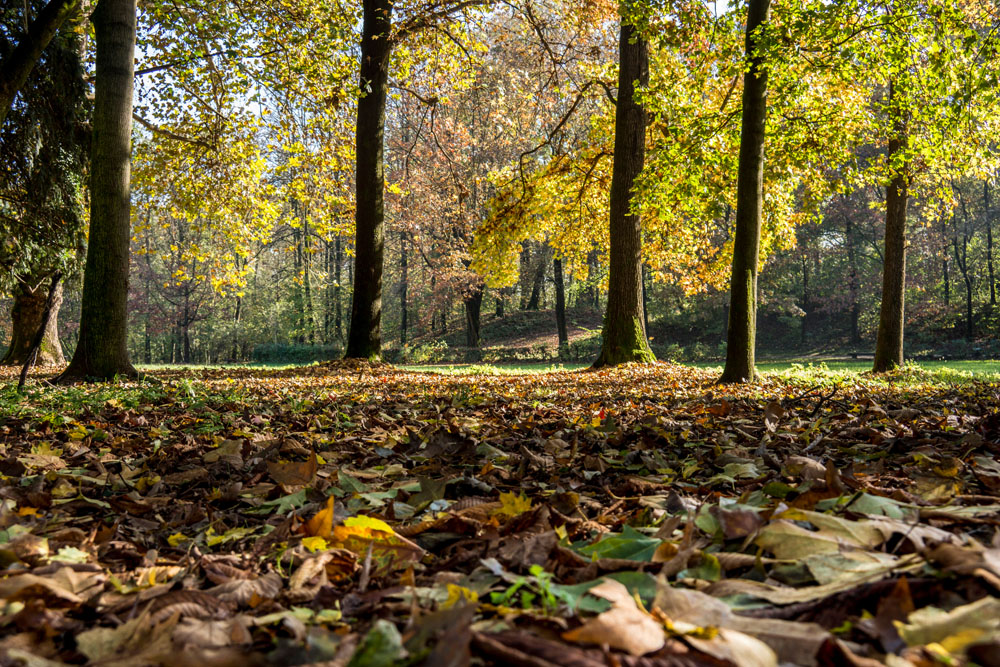 Monza Parco della Villa Reale © Giulia Castelli