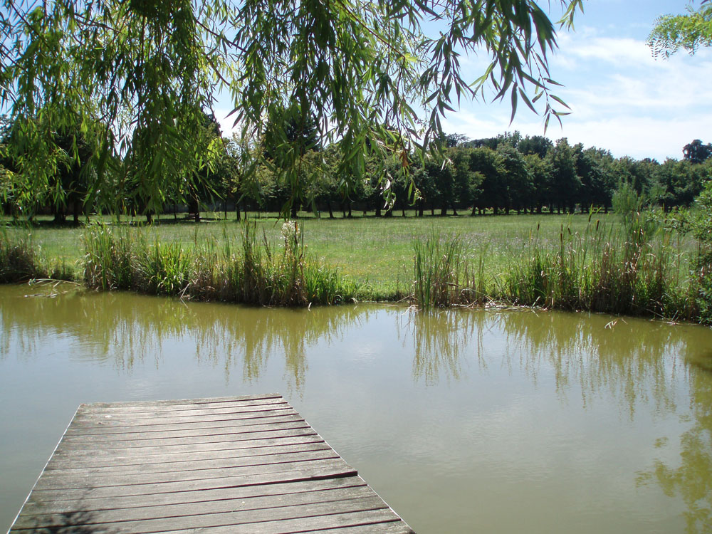 Cesano Maderno Parco Arese Borromeo, il laghetto © Ilaria Ghisletti