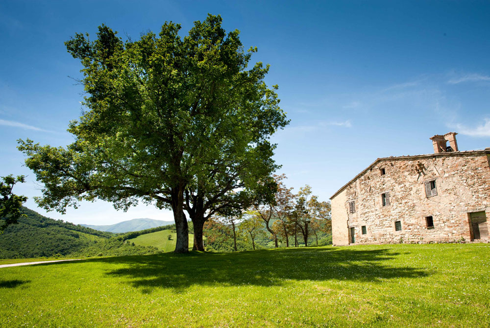 Dintorni balcone Trionfi Urbania © Fabrizio Ardito