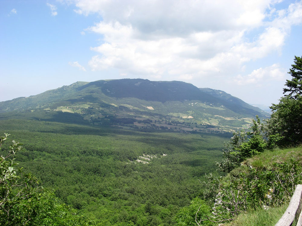 Parco del Sasso Simone e del Sasso Simoncello Veduta del monte Carpegna © Toni Pecoraro