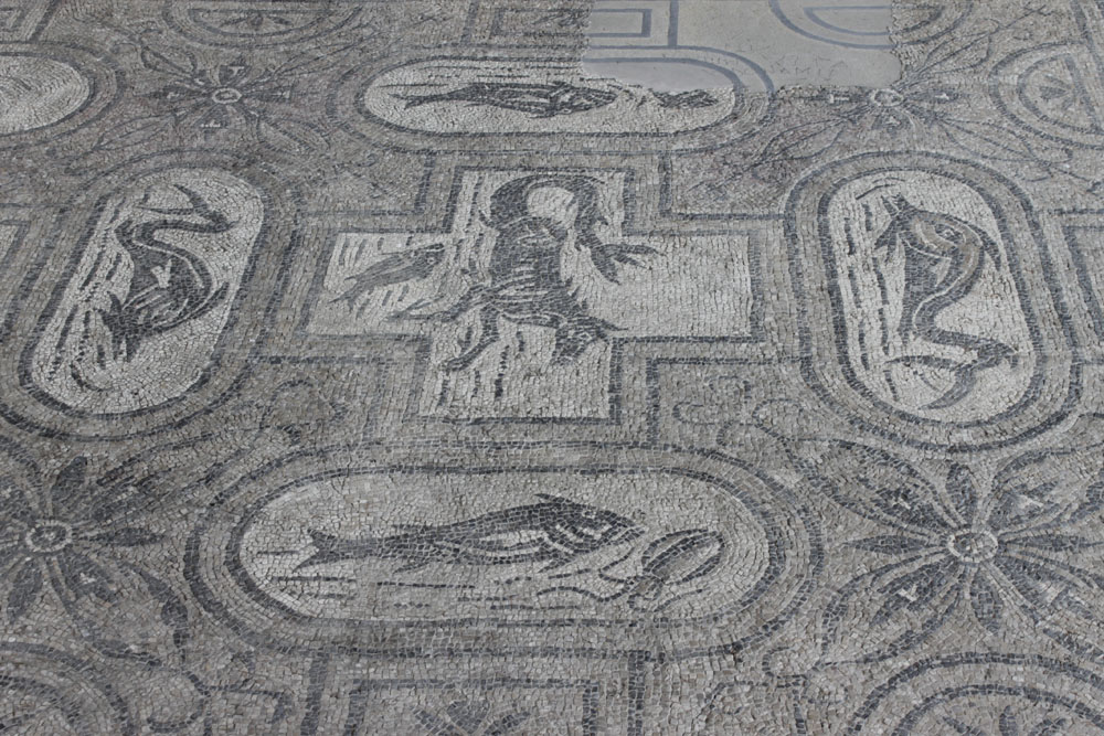 Vasto Vasto Mosaici delle terme © Elio Torlontano, su gentile concessione della Direzione regionale per i beni culturali dell'Abruzzo - Soprintendenza per i beni archeologici dell'Abruzzo