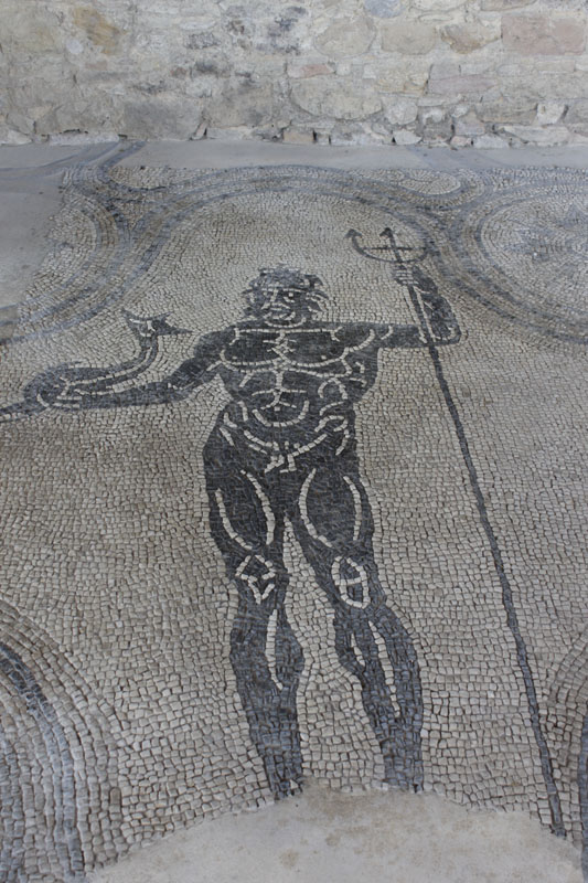 Vasto Mosaici delle terme © Elio Torlontano, su gentile concessione della Direzione regionale per i beni culturali dell'Abruzzo Soprintendenza per i beni archeologici dell'Abruzzo