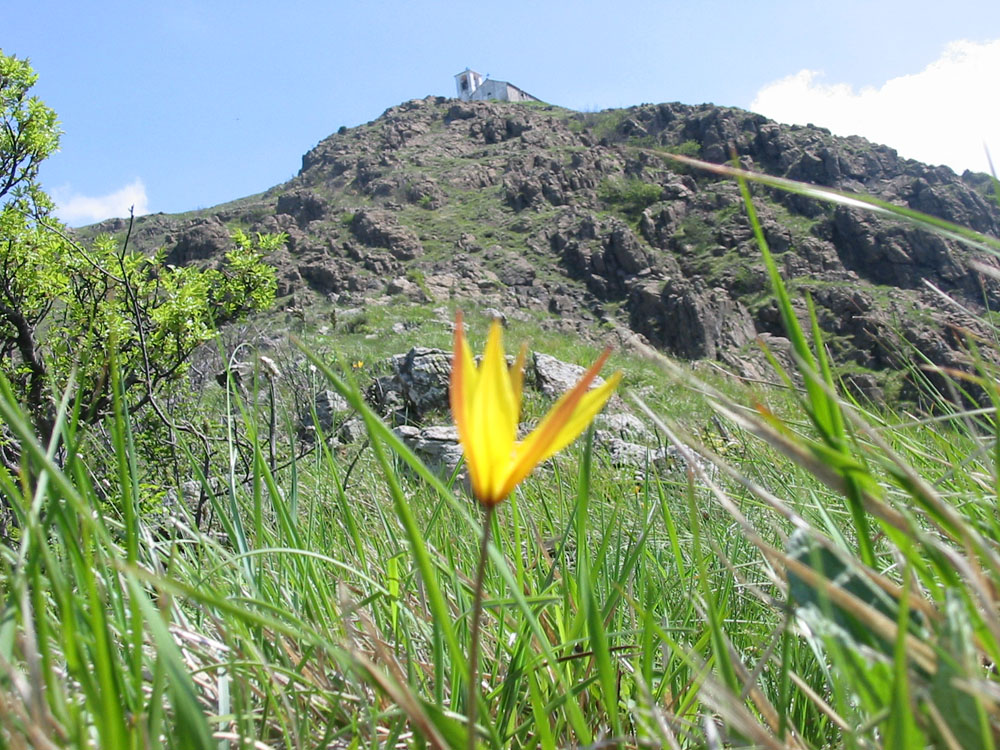 Parco Capanne di Marcarolo Veduta del Monte Tobbio © Archivio Parco Naturale delle Capanne di Marcarolo