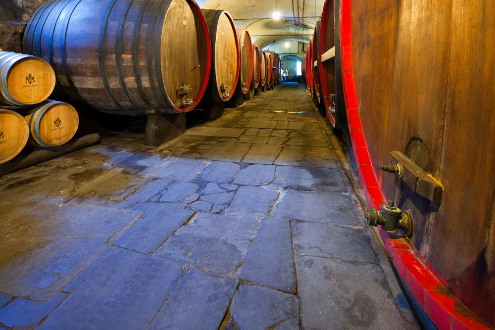 Tagliolo Monferrato Le antiche cantine del castello © Fiorenza Cicogna