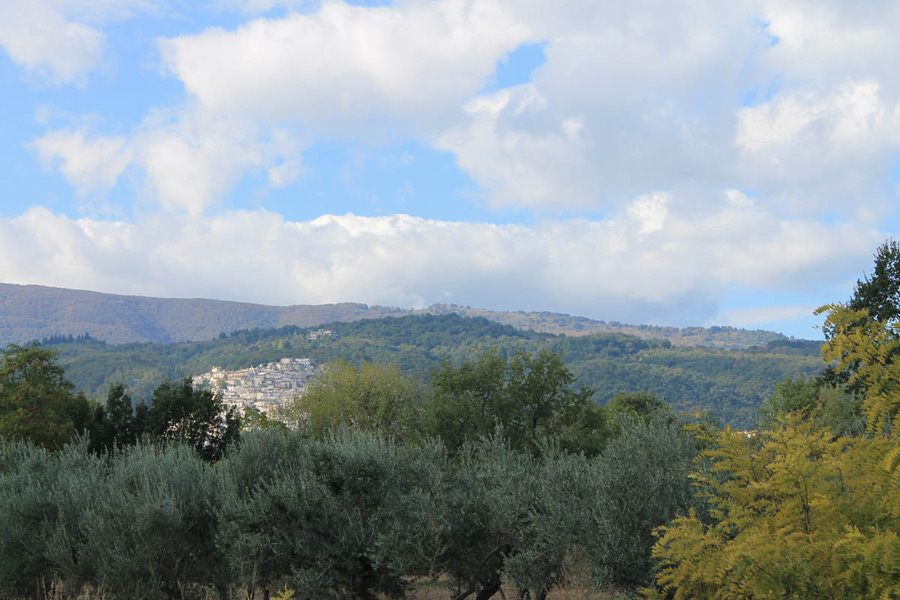 Pretoro Panorama dall'uliveto © Elio Torlontano