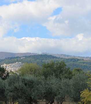 Pretoro Panorama dall'uliveto © Elio Torlontano