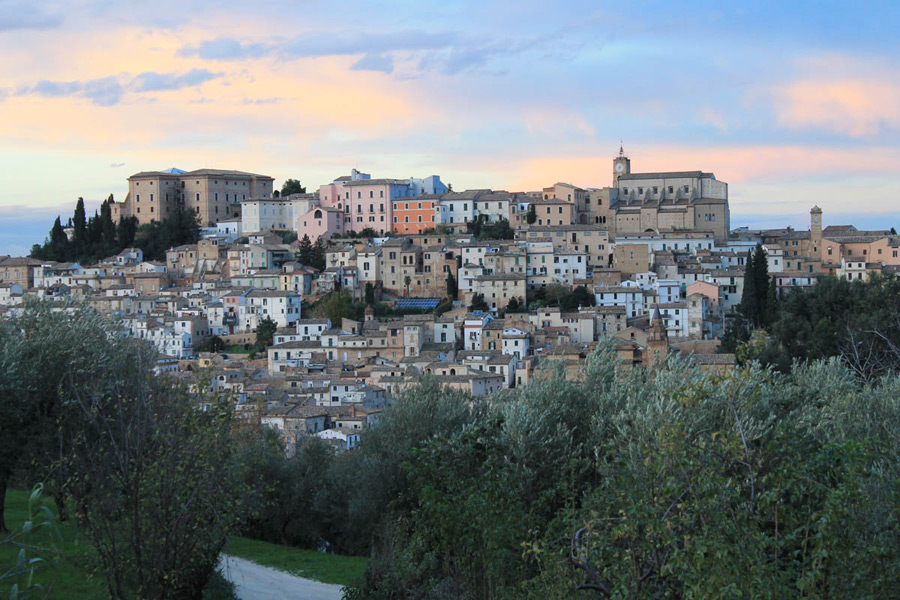 Loreto Aprutino Panorama con uliveti © Elio Torlontano