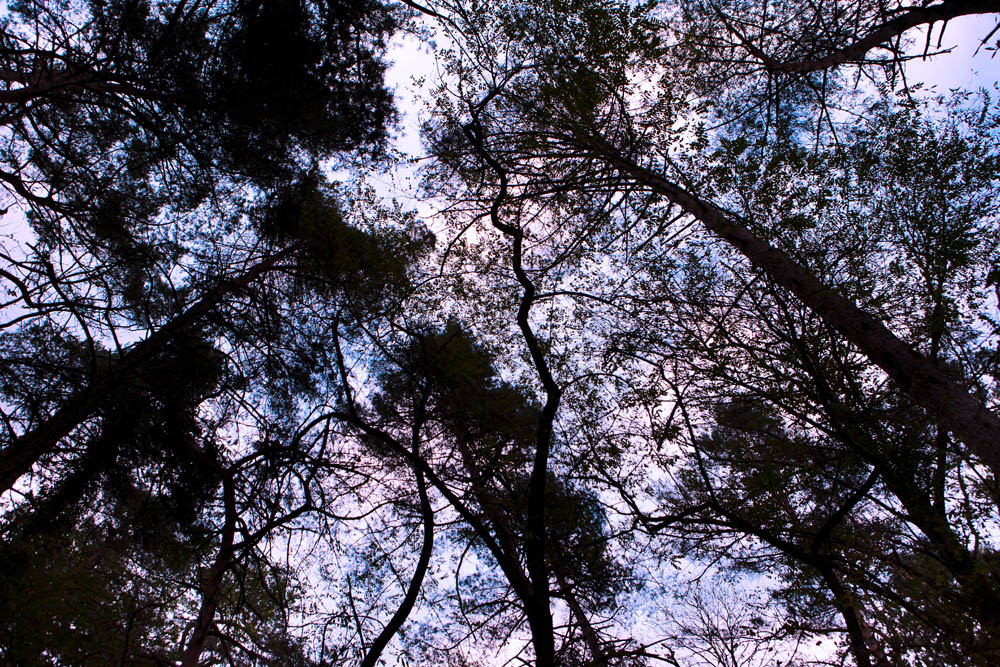 Golasecca Sentiero del Monsorino ©Fiorenza Cicogna