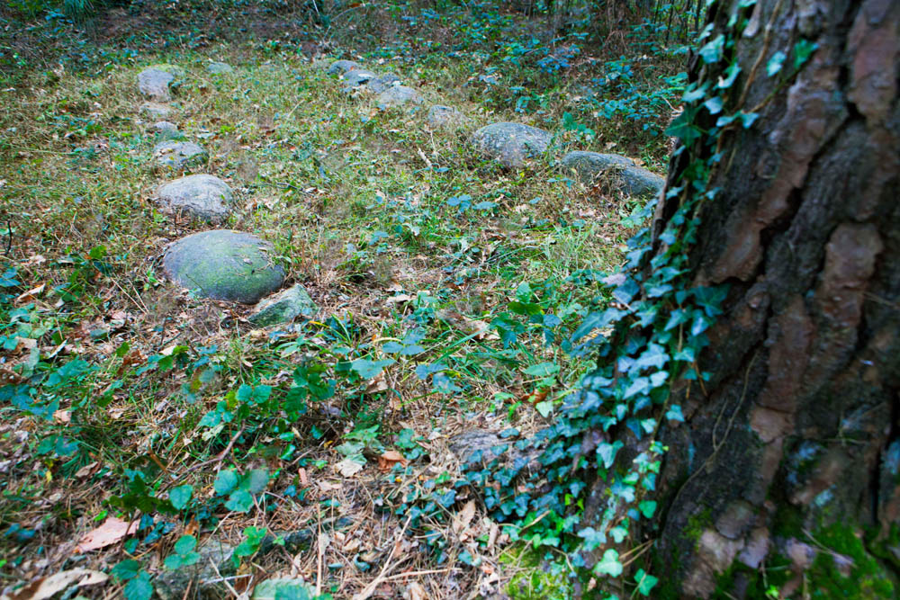 Golasecca Cromlech sul sentiero del Monsorino ©Fiorenza Cicogna