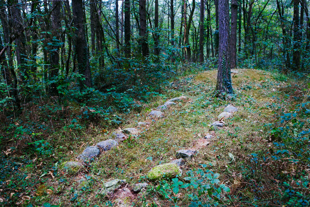 Golasecca Cromlech sul sentiero del Monsorino ©Fiorenza Cicogna