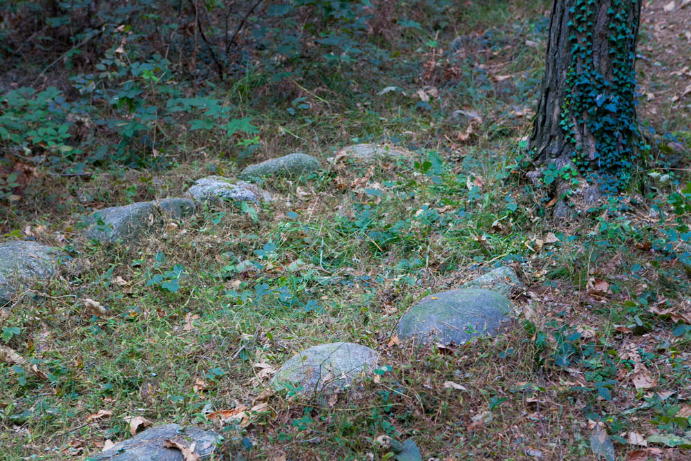 Golasecca Sassi circolari di un cromlech lungo il sentiero del Monsorino. ©Fiorenza Cicogna