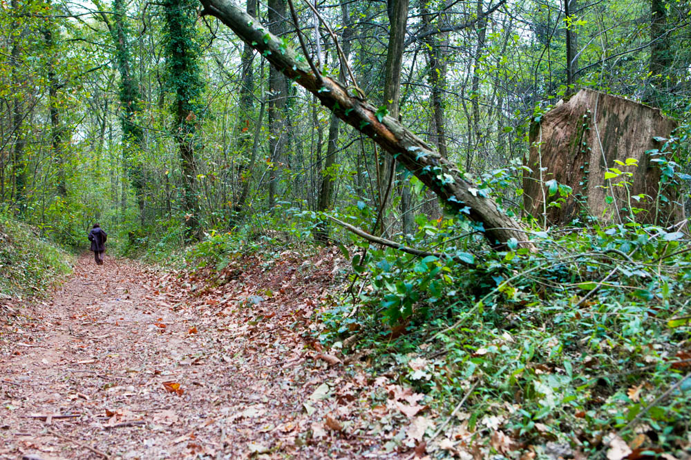 Golasecca Sentiero del Monsorino ©Fiorenza Cicogna
