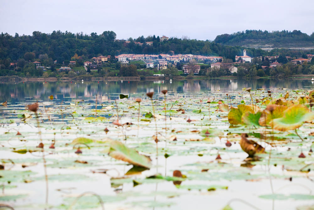 Lago di Comabbio ©Fiorenza Cicogna