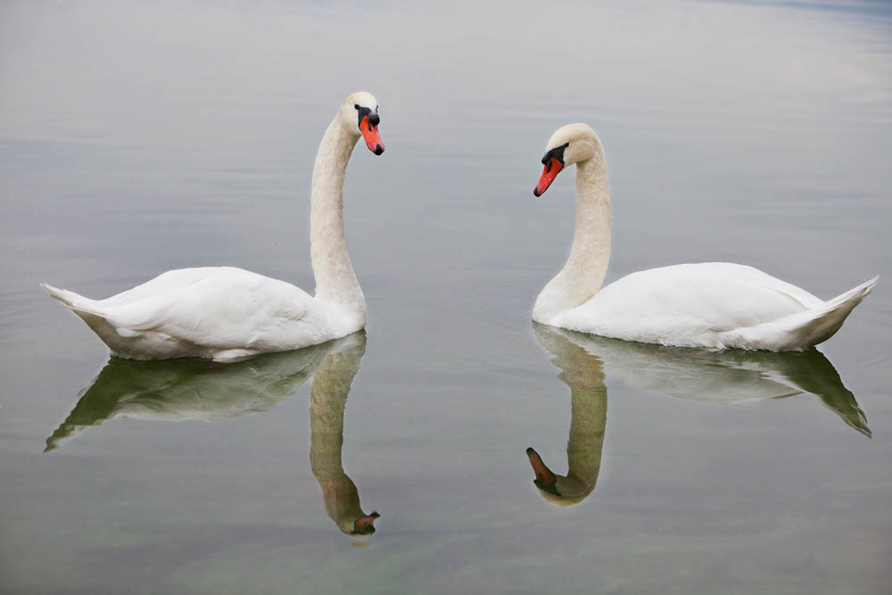 Lago di Comabbio ©Fiorenza Cicogna