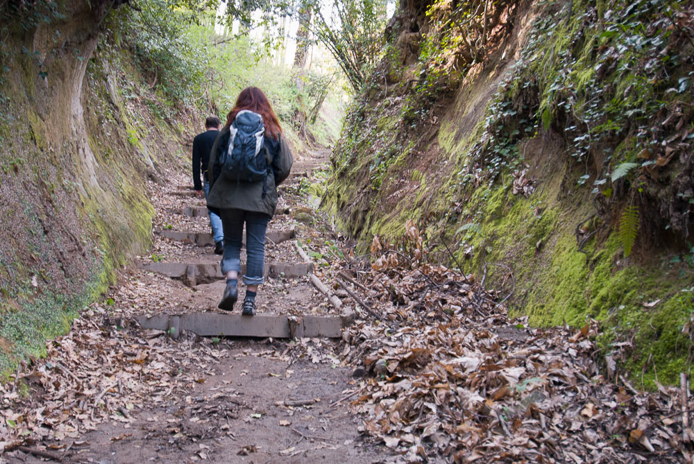 Tora e Piccilli Il sentiero di avvicinamento alle Ciampate del Diavolo ©Natalino Russo