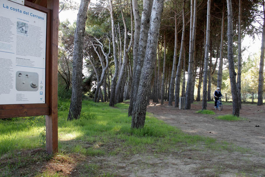 Torre Cerrano Pineta di Torre Cerrano ©Elio Torlontano