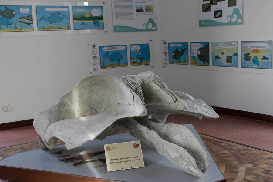 Torre Cerrano Museo del Mare © Elio Torlontano