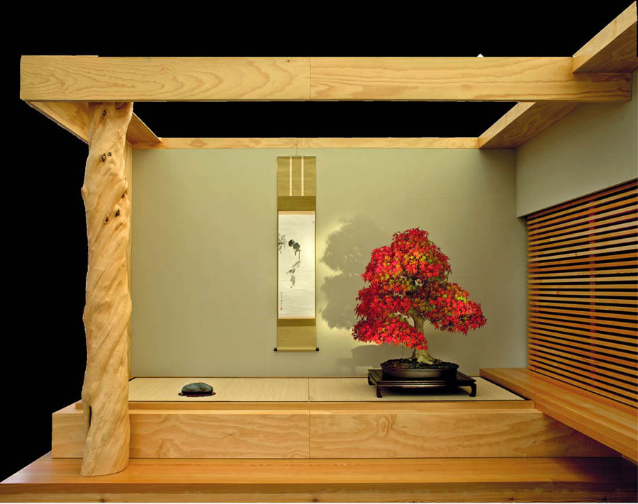 Pescia Una pianta del Museo del Bonsai © Franchi Bonsai