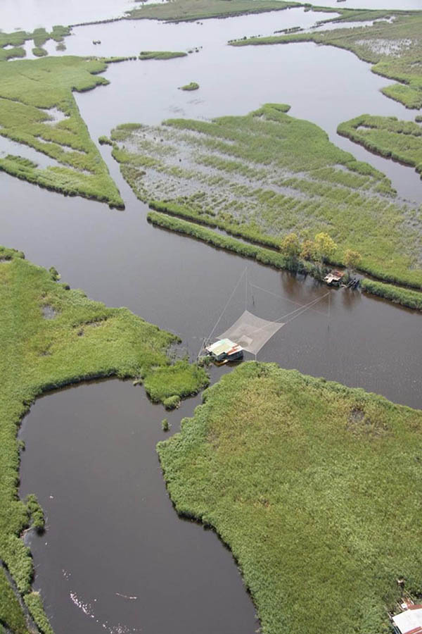 Torre de Lago Il lago di Massaciuccoli, meta di escursioni naturalistiche © Carlo Alberto Gazzoli