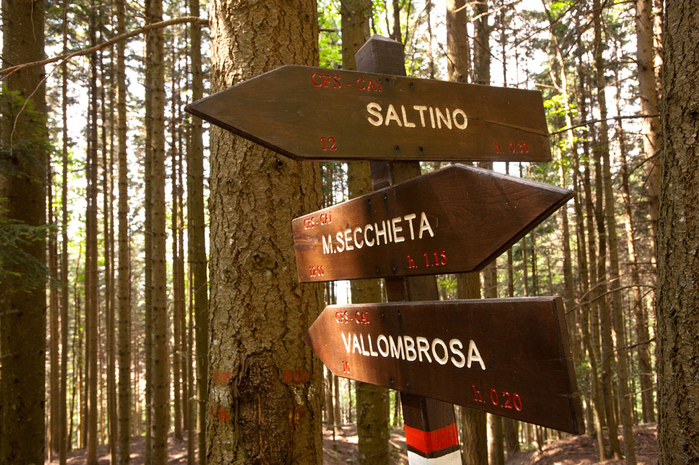 Vallombrosa Segnaletica centro visite © Fabrizio Ardito