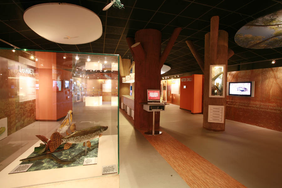 Argenta Museo delle Valli, il primo piano © Archivio Provincia di Ferrara / Foto di Andrea Samaritani