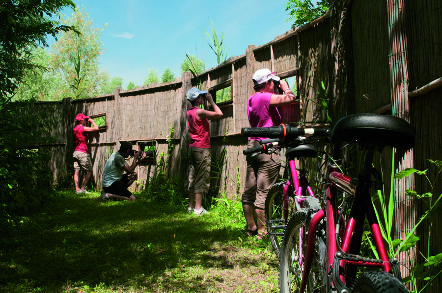 Argenta Birdwatching nell'Oasi © Provincia di Ferrara / foto di Luca Beretta