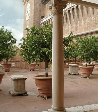 Ferrara Castello Estense, il Giardino degli Aranci © Archivio Provincia di Ferrara / foto di Massimo Baraldi