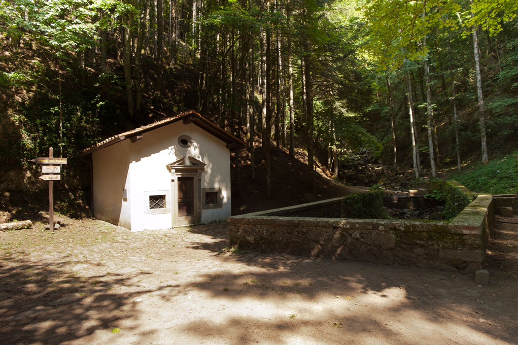 Vallombrosa Sentiero delle cappelle verso il Paradisino © Fabrizio Ardito