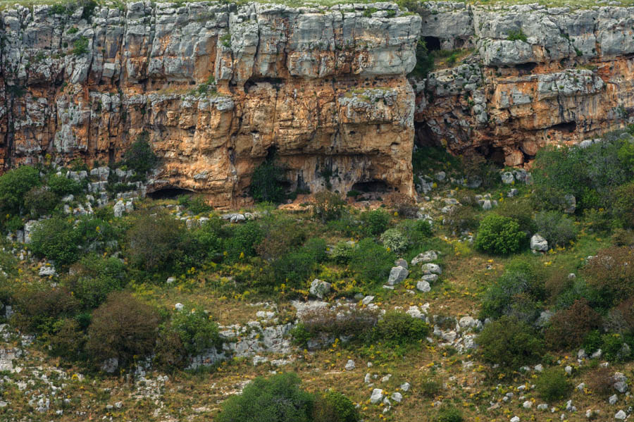 Alta Murgia Il pulo di Altamura, veduta della parete rocciosa © Viaggiareinpuglia.it, foto Vanda Biffani