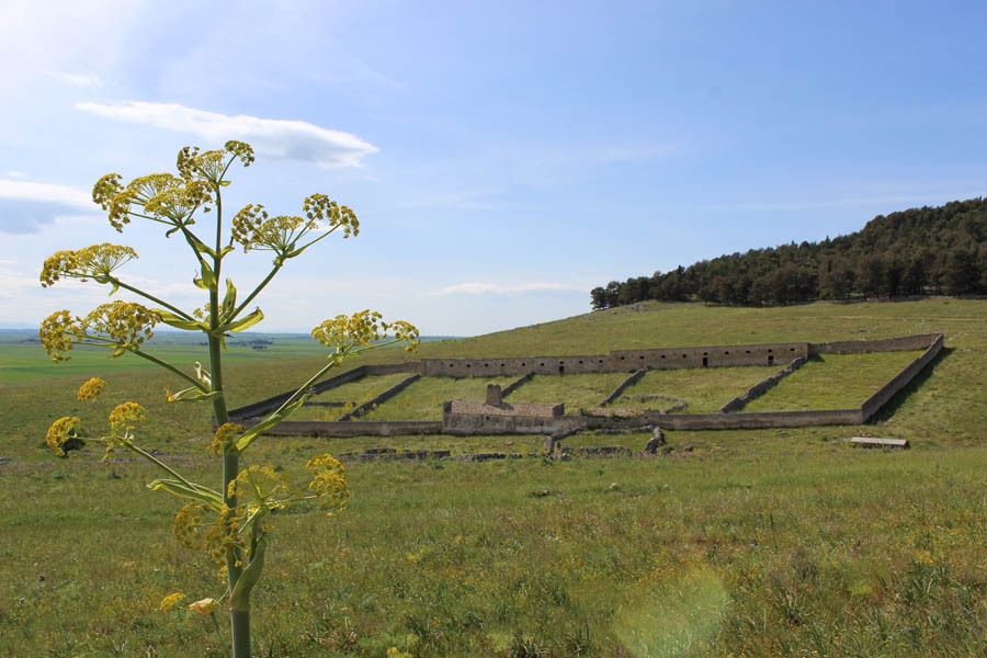 Alta Murgia Jazzo Pantano, in territorio di Gravina in Puglia © Marcello Benevento