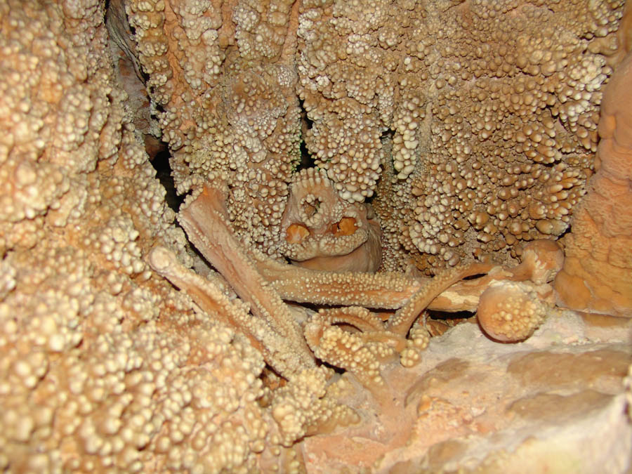 Alta Murgia Uomo di Altamura © Marcello Benevento