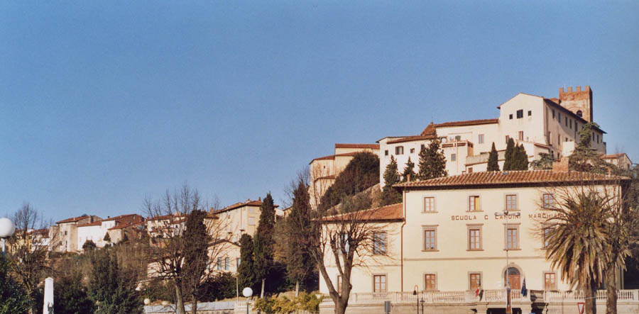 Fucecchio Veduta di Fucecchio © sa by Lucarelli