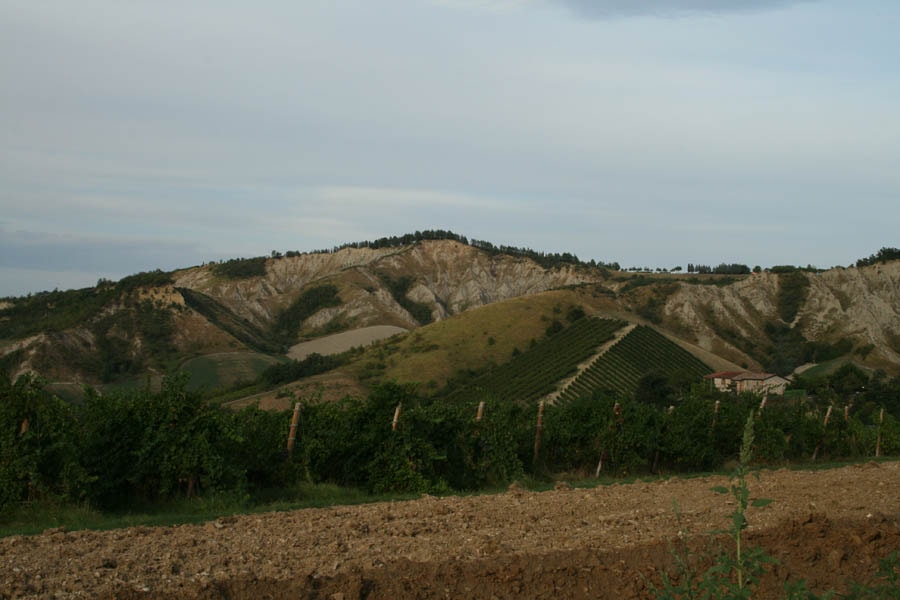 Terme di Riolo Campagna nei dintorni di Riolo Terme © Fiorenza Cicogna
