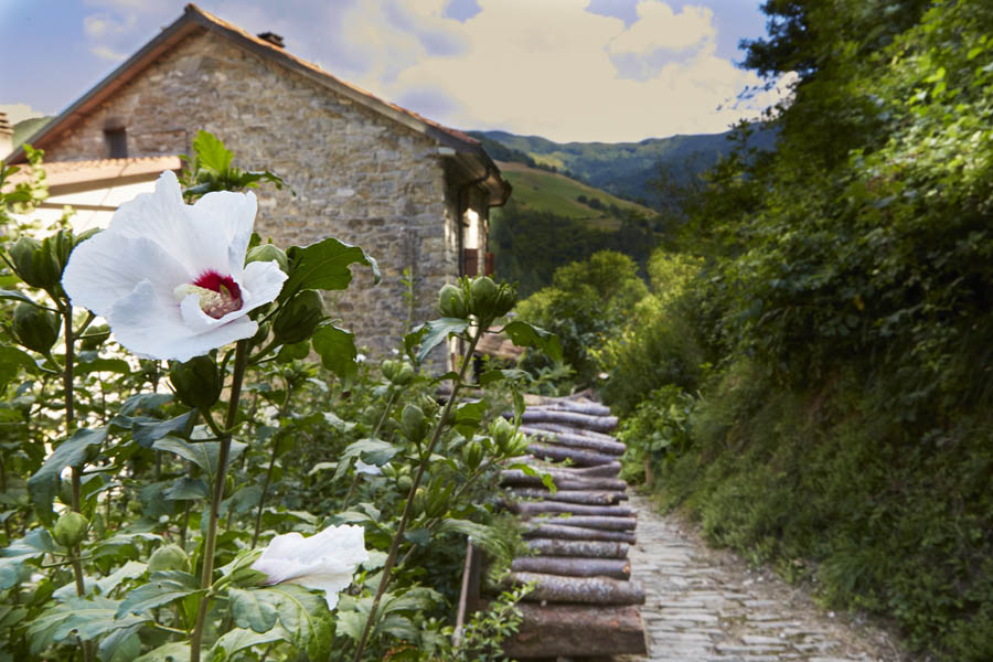 San Benedetto in Alpe Vicolo fiorito © Francesco Lemma