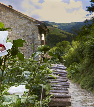 San Benedetto in Alpe Vicolo fiorito © Francesco Lemma