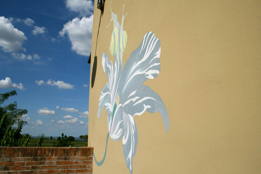 Dozza Scorcio del paesaggio © Cinzia Rando