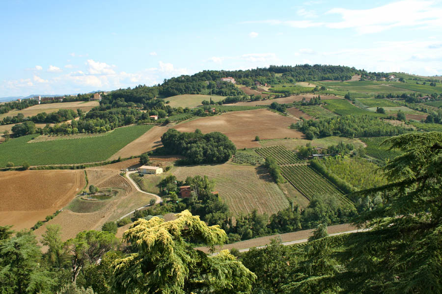 Dozza Colline intorno a Dozza © Cinzia Rando