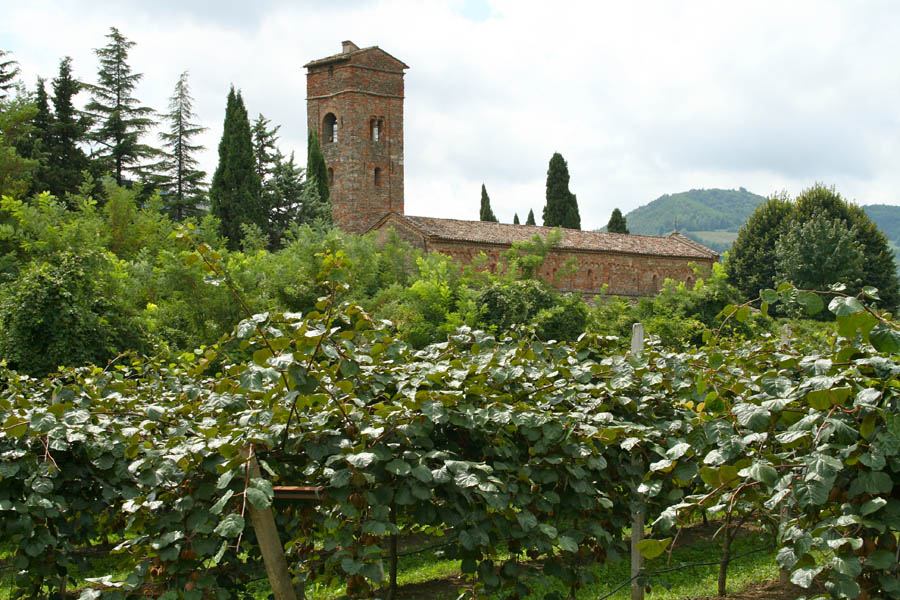 Brisighella Vigneti davanti alla Pieve del Thò © Cinzia Rando